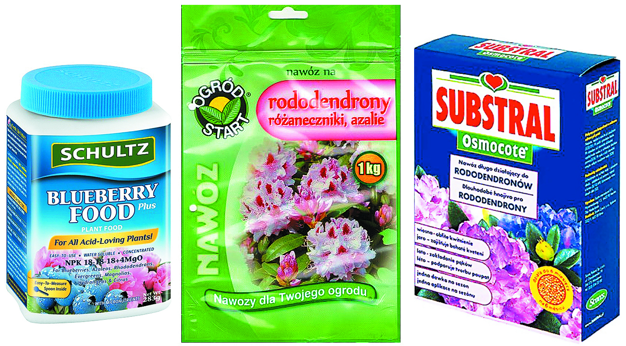 No kreisās: Mēslojums mellenēm Schultz, 283 g – 7,19 eiro, K Senukai; Mēslojums rododendriem un acālijām Ogorod Start, 1 kg – 2,82 eiro, tavamdarzam.lv; Substral Osmocote 6 granulēts rododendru un hortenziju mēslojums, 300 g – 4,50 eiro, 220.lv