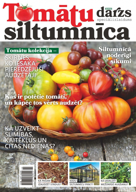 Tomātu Siltumnīcas 2025