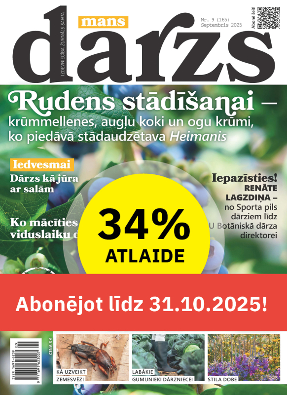 Mans Dārzs nr10/2025