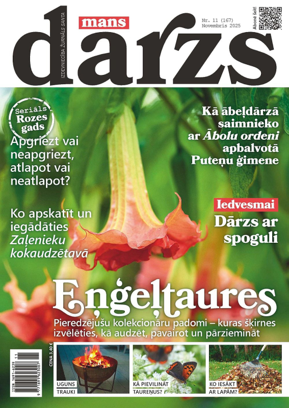 Mans Dārzs nr11/2025