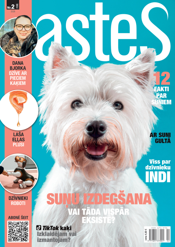 Astes nr02/2026
