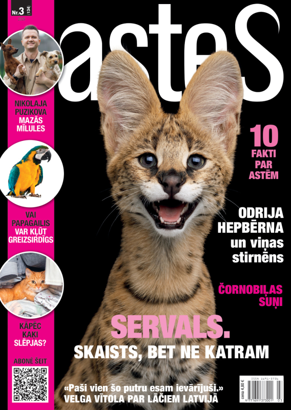 Astes nr03/2026