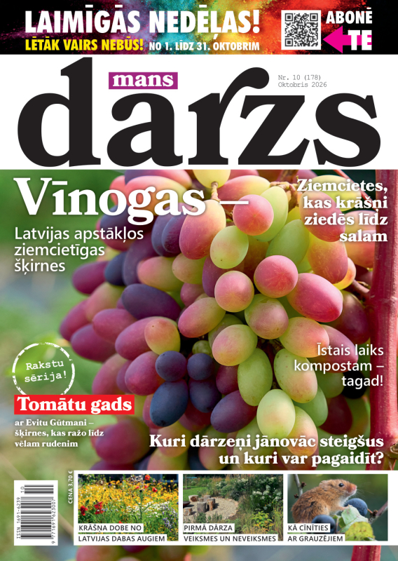 Mans Dārzs nr10/2026