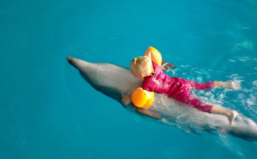 Delfīnu terapija tiešām spēj darīt brīnumus!