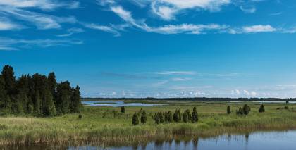 TESTS: Eiropas sargātās dabas bagātības – Latvijā. Vai zini Natura2000 objektus?