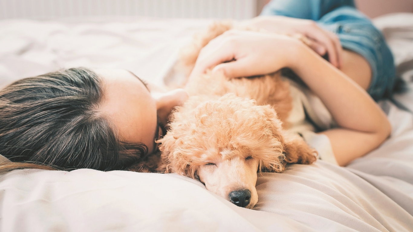 Vai tavs suns bieži guļ pie tavas gultas vai pat gultā tev blakus?