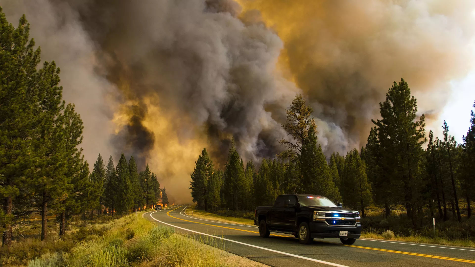 Meža ugunsgrēki ir tikai viena no klimata pārmaiņu sekām.