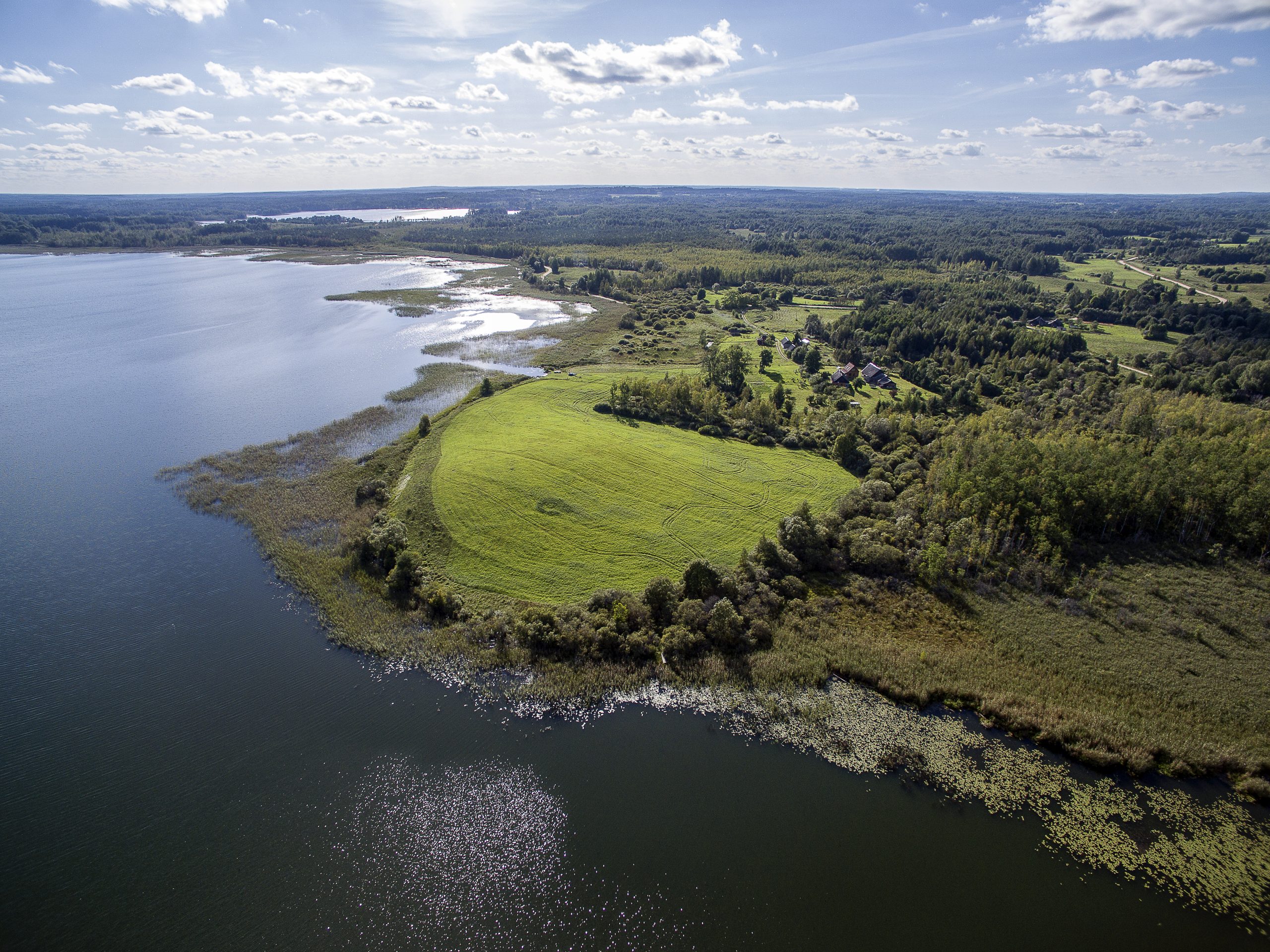 Lielākais nacionālais parks Latvijā ir Gaujas Nacionālais parks, kas aizņem 91 786 hektārus lielu platību. Kurš ir platības ziņā otrs lielākais nacionālais parks?