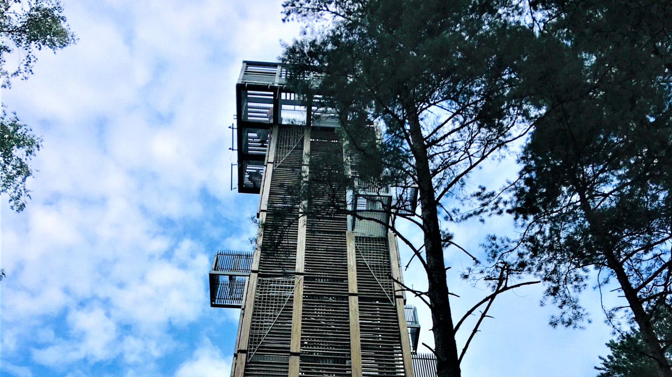Dzintaru mežaparka skatu tornis