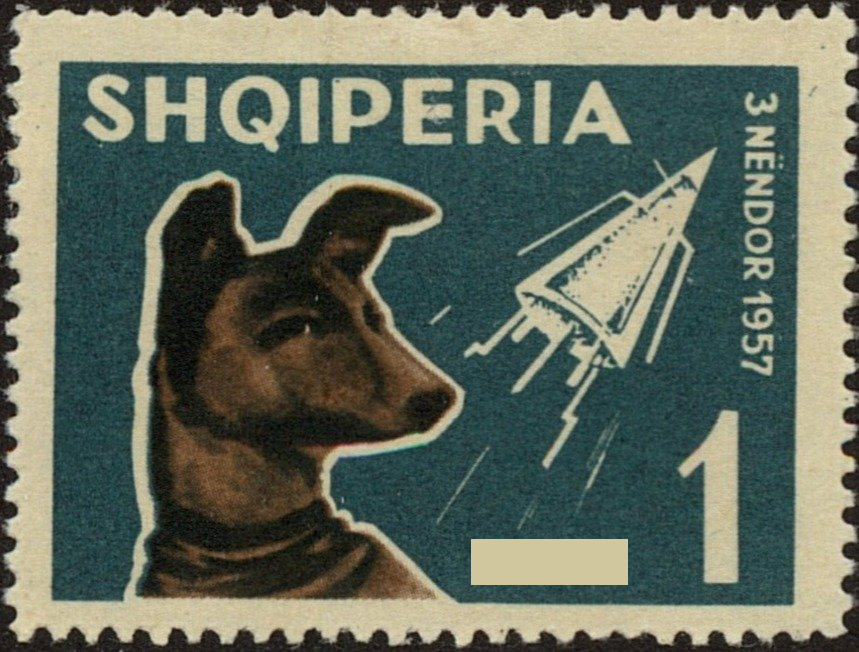 Kā sauc vienu no slavenajiem Padomju Savienības kosmosā sūtītajiem suņiem, kurš uzsāka lidojumu 1957. gada 3. novembrī?