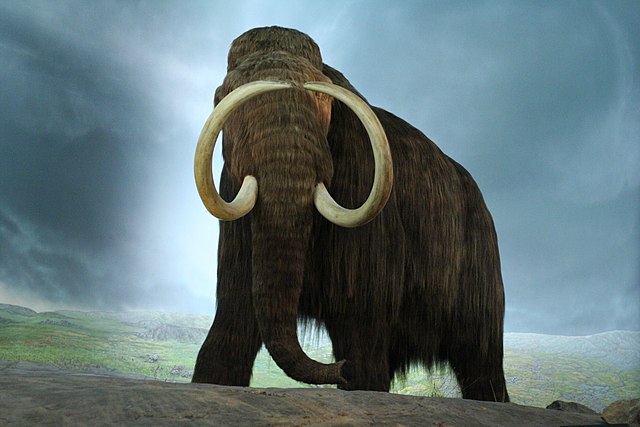 Vai mamuts eksistē arī mūsdienās?