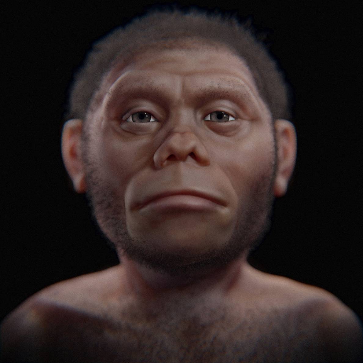 Homo floresiensis